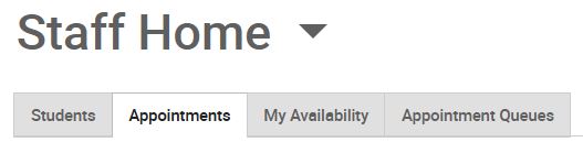 Staff Home Appointments Tab