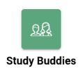 Stud Buddy Icon