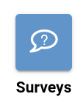 Surveys Icon